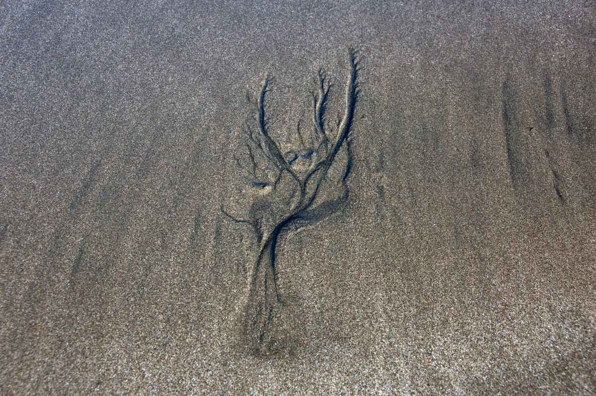 Sand 1002 - Bilde 2