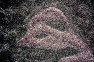 Sand 1133
