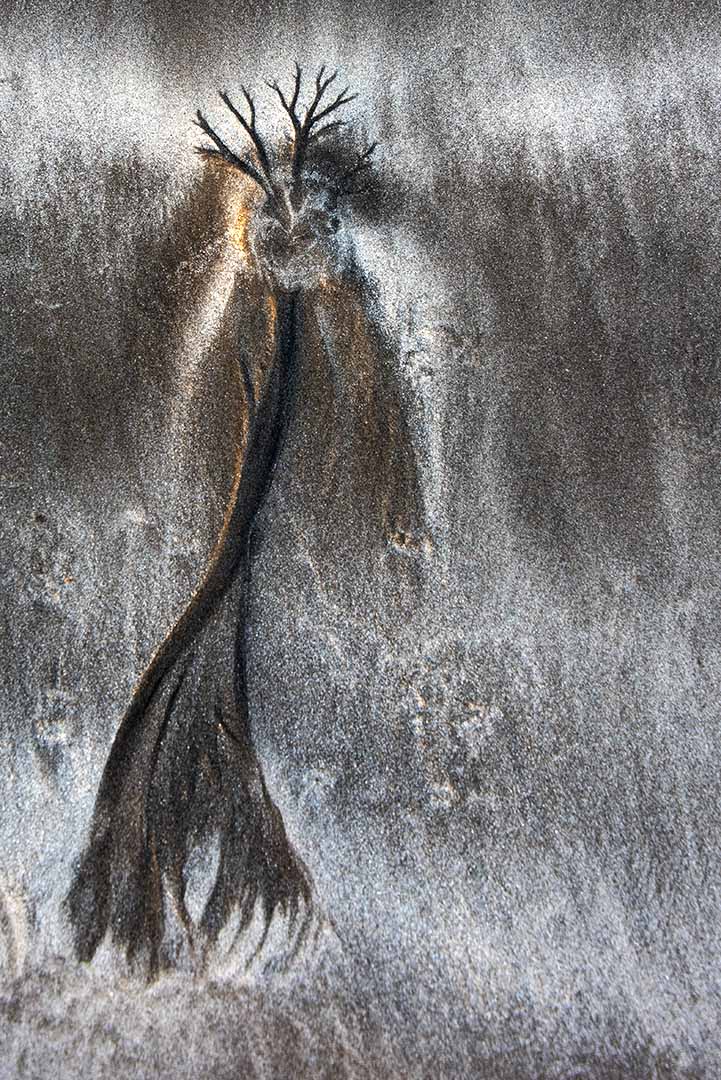 Sand 1072